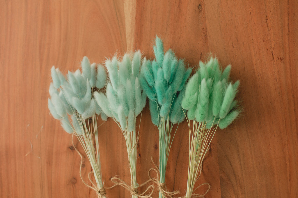 Bunny Tails