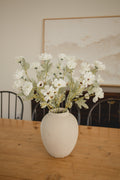 New Cosmos Stem