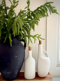 Norfolk Pine Branch