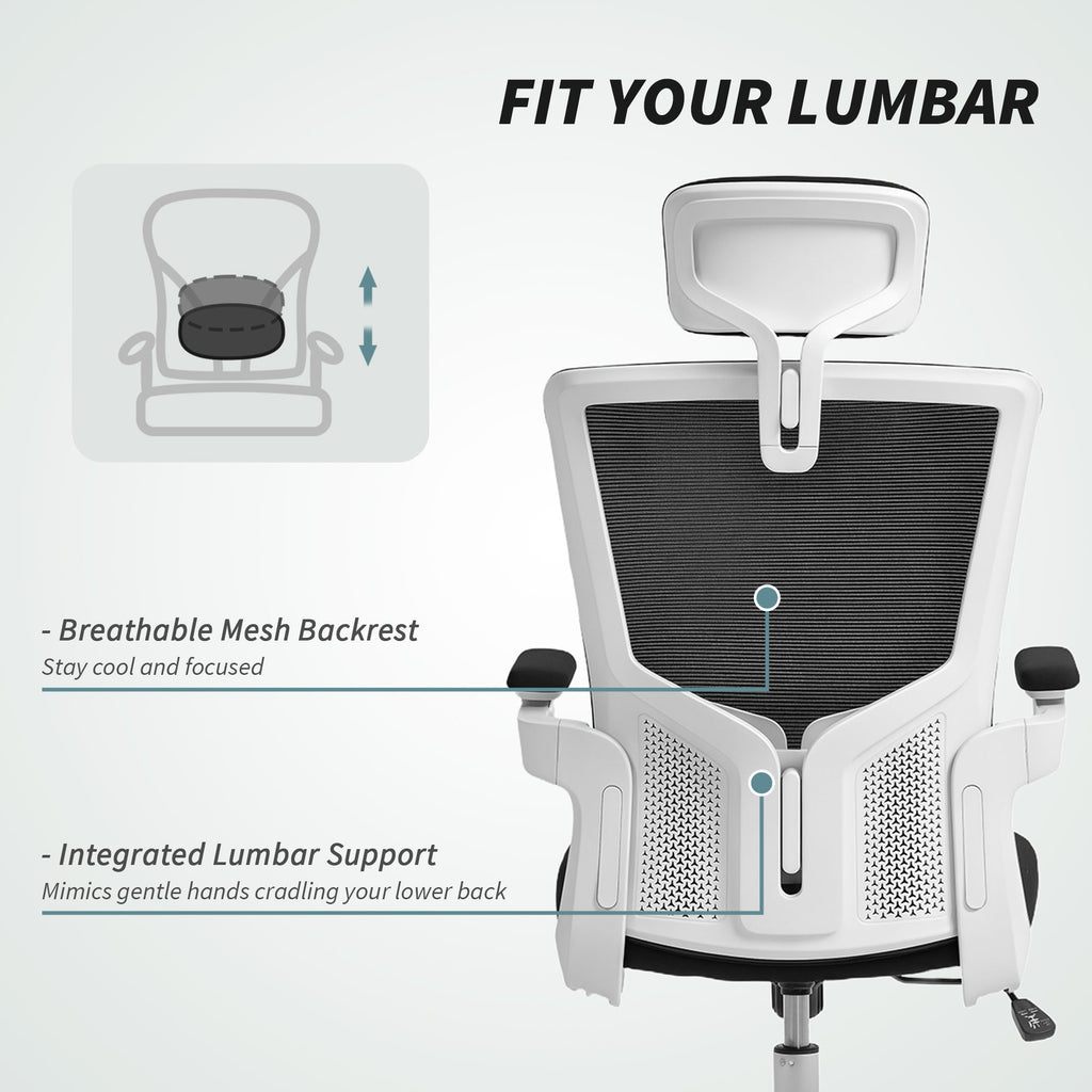 Andre Ergonomic Office Chair with 2D Lumbar Support and adjustable Headrest-Black/White