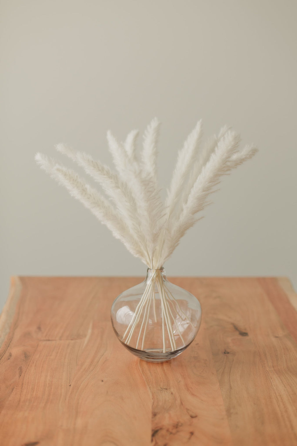 Mini Pampas