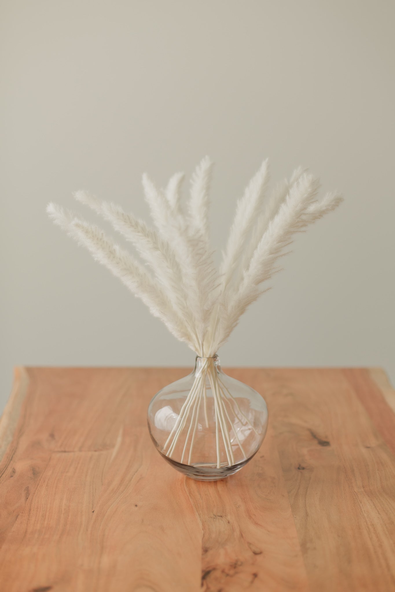 Mini Pampas