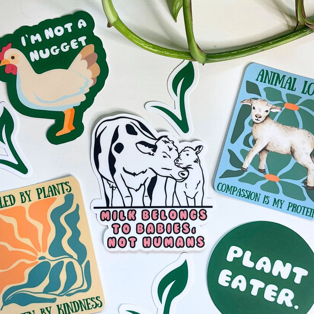 Milk Belongs to Babies, Not Humans - Vegan Sticker