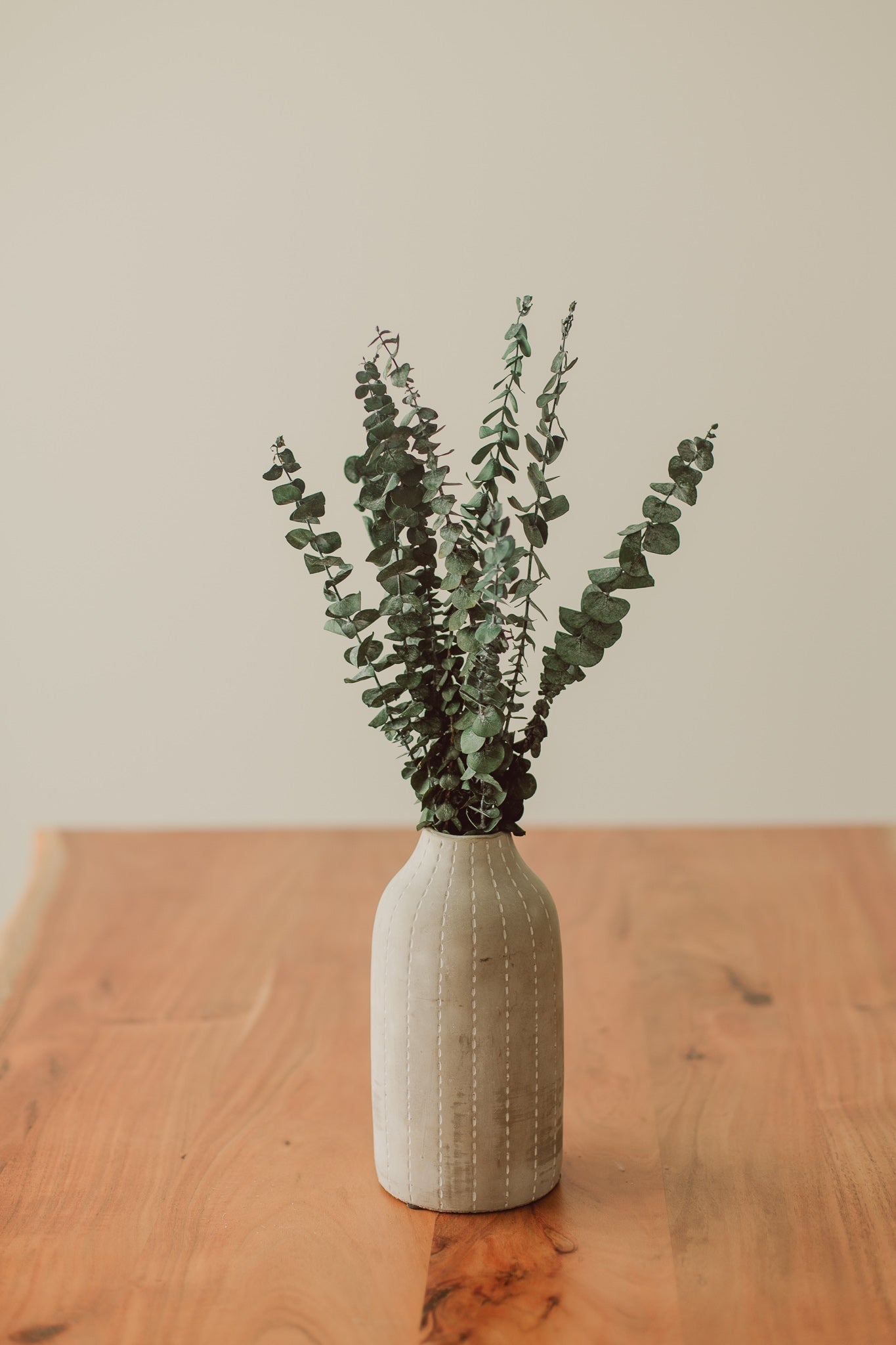 Eucalyptus Stem Bundle