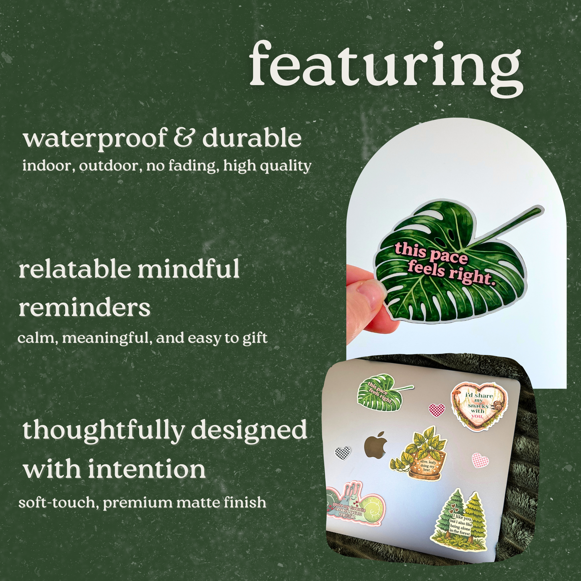 This Pace Feels Right Monstera Sticker